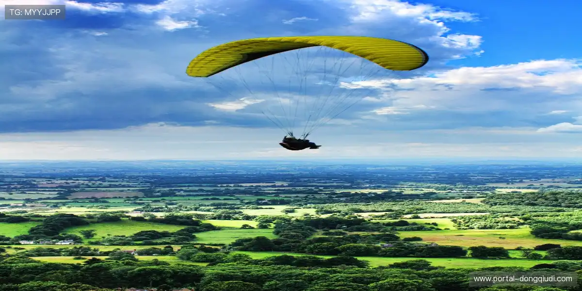 智能判罚系统·为专业而诞生⚙️